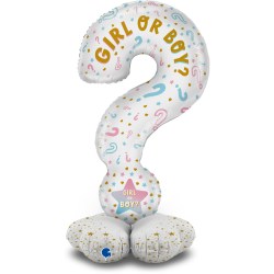 Question Mark Gender Reveal – The Standups 47″/119cm