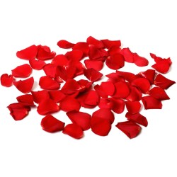 Luxuriöse rote Rosenblätter